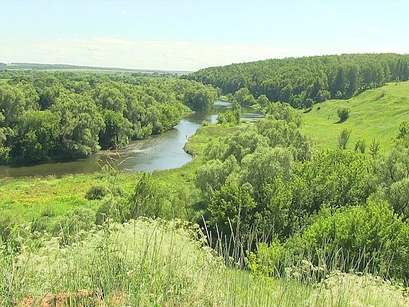 Анина гора