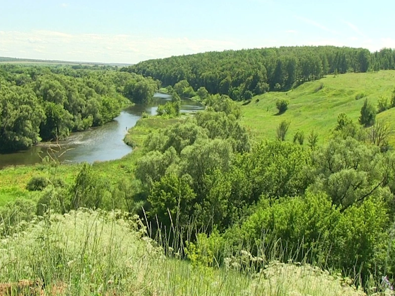 Отдых на природе в Данкове